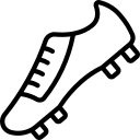 傅元情